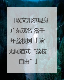 埃文凯尔现身广东茂名 赏千年荔枝树 上演无间道式“荔枝自由”