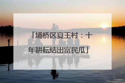 埇桥区夏王村：十年耕耘结出富民瓜