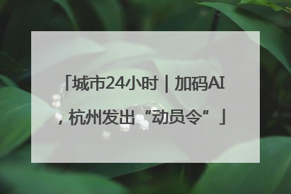 城市24小时｜加码AI，杭州发出“动员令”