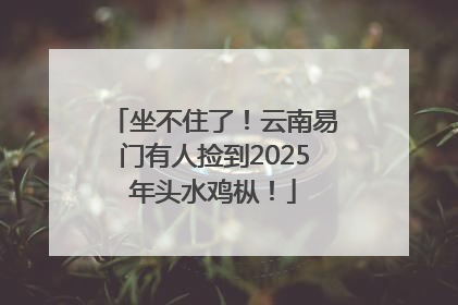 坐不住了！云南易门有人捡到2025年头水鸡枞！