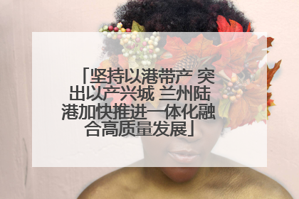 坚持以港带产 突出以产兴城 兰州陆港加快推进一体化融合高质量发展
