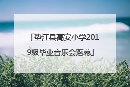 垫江县高安小学2019级毕业音乐会落幕