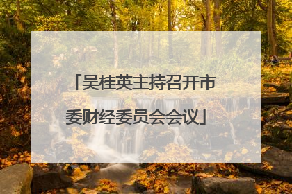 吴桂英主持召开市委财经委员会会议