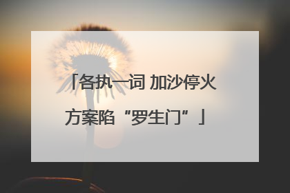 各执一词 加沙停火方案陷“罗生门”