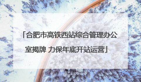 合肥市高铁西站综合管理办公室揭牌 力保年底开站运营