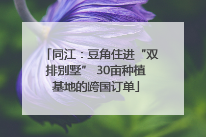 同江：豆角住进“双排别墅” 30亩种植基地的跨国订单