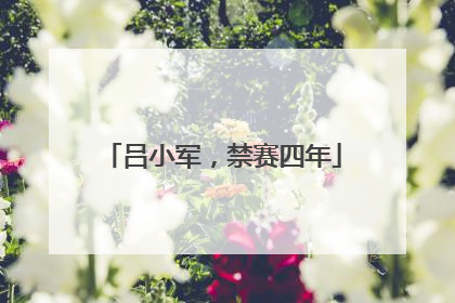 吕小军，禁赛四年