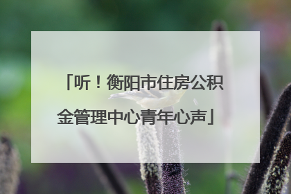 听！衡阳市住房公积金管理中心青年心声