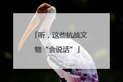 听，这些抗战文物“会说话”