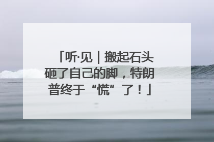 听·见｜搬起石头砸了自己的脚，特朗普终于“慌”了！
