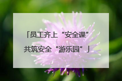 员工齐上“安全课” 共筑安全“游乐园”