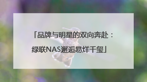 品牌与明星的双向奔赴：绿联NAS邂逅易烊千玺