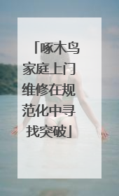 啄木鸟家庭上门维修在规范化中寻找突破