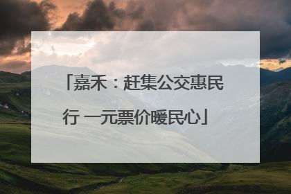 嘉禾：赶集公交惠民行 一元票价暖民心