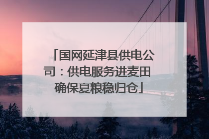 国网延津县供电公司:供电服务进麦田 确保夏粮稳归仓