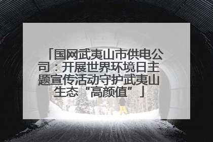 国网武夷山市供电公司：开展世界环境日主题宣传活动守护武夷山生态“高颜值”