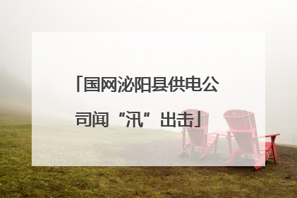 国网泌阳县供电公司闻“汛”出击