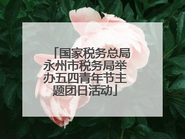 国家税务总局永州市税务局举办五四青年节主题团日活动