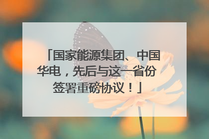 国家能源集团、中国华电，先后与这一省份签署重磅协议！