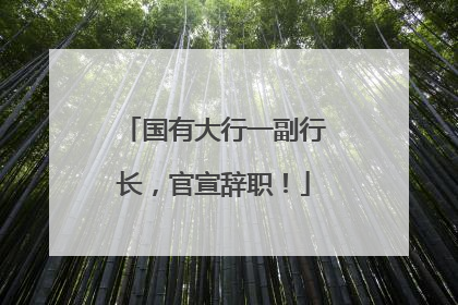 国有大行一副行长，官宣辞职！
