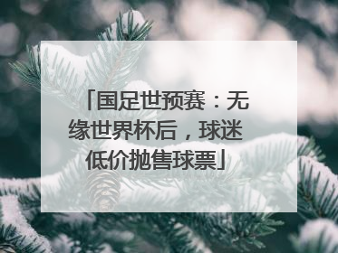 国足世预赛：无缘世界杯后，球迷低价抛售球票