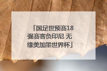 国足世预赛18强赛客负印尼 无缘美加墨世界杯
