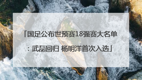 国足公布世预赛18强赛大名单：武磊回归 杨明洋首次入选