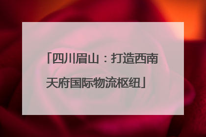 四川眉山：打造西南天府国际物流枢纽