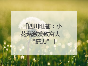 四川旺苍：小花菇激发致富大“蘑力”