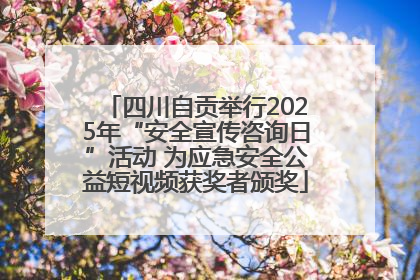 四川自贡举行2025年“安全宣传咨询日”活动 为应急安全公益短视频获奖者颁奖
