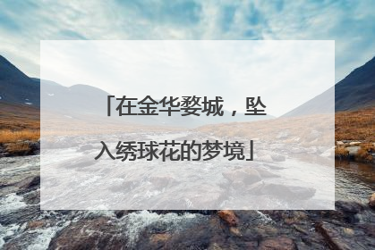 在金华婺城，坠入绣球花的梦境
