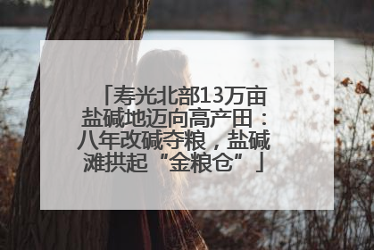寿光北部13万亩盐碱地迈向高产田：八年改碱夺粮，盐碱滩拱起“金粮仓”