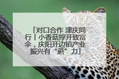 对口合作 津庆同行丨小香菇撑开致富伞，庆阳开边镇产业振兴有“蘑”力