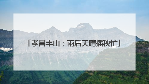 孝昌丰山：雨后天晴插秧忙