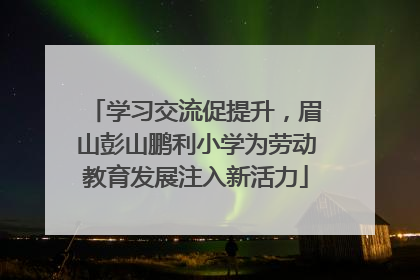 学习交流促提升，眉山彭山鹏利小学为劳动教育发展注入新活力