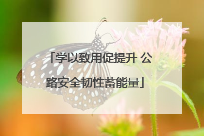 学以致用促提升 公路安全韧性蓄能量
