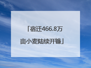 宿迁466.8万亩小麦陆续开镰