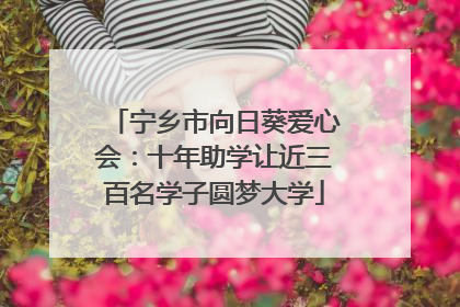宁乡市向日葵爱心会：十年助学让近三百名学子圆梦大学