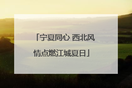 宁夏同心 西北风情点燃江城夏日