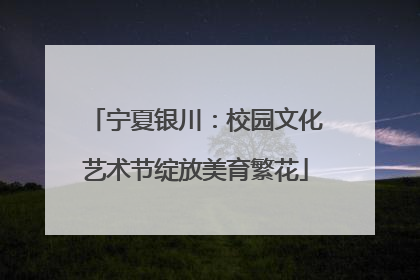 宁夏银川：校园文化艺术节绽放美育繁花