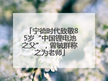 宁德时代致敬85岁“中国锂电池之父”，曾毓群称之为老师