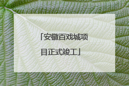 安徽百戏城项目正式竣工