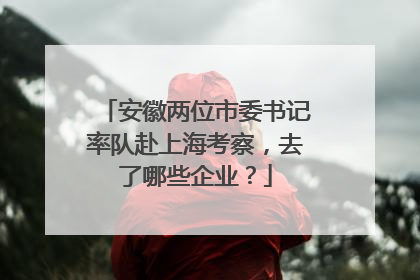 安徽两位市委书记率队赴上海考察，去了哪些企业？