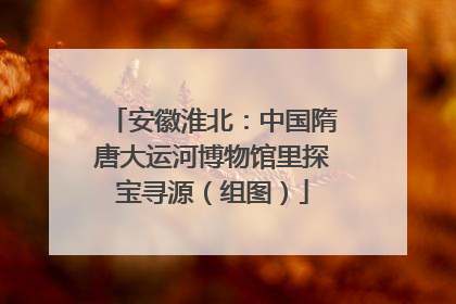 安徽淮北：中国隋唐大运河博物馆里探宝寻源（组图）