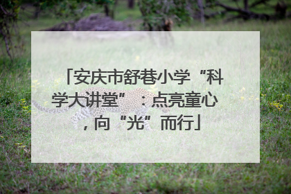 安庆市舒巷小学“科学大讲堂”：点亮童心，向“光”而行