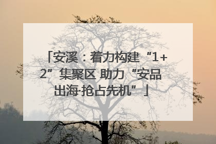 安溪：着力构建“1+2”集聚区 助力“安品出海·抢占先机”