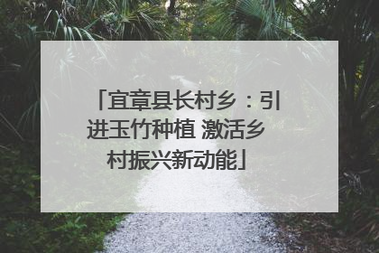 宜章县长村乡：引进玉竹种植 激活乡村振兴新动能