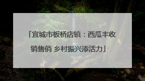 宜城市板桥店镇：西瓜丰收销售俏 乡村振兴添活力