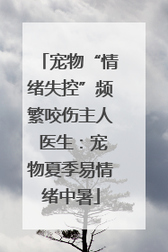 宠物“情绪失控”频繁咬伤主人 医生：宠物夏季易情绪中暑