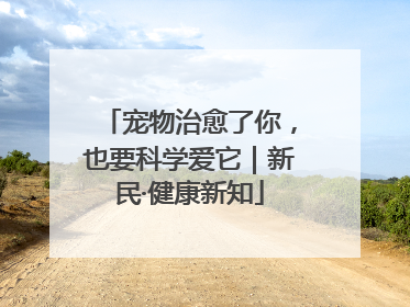 宠物治愈了你，也要科学爱它｜新民·健康新知